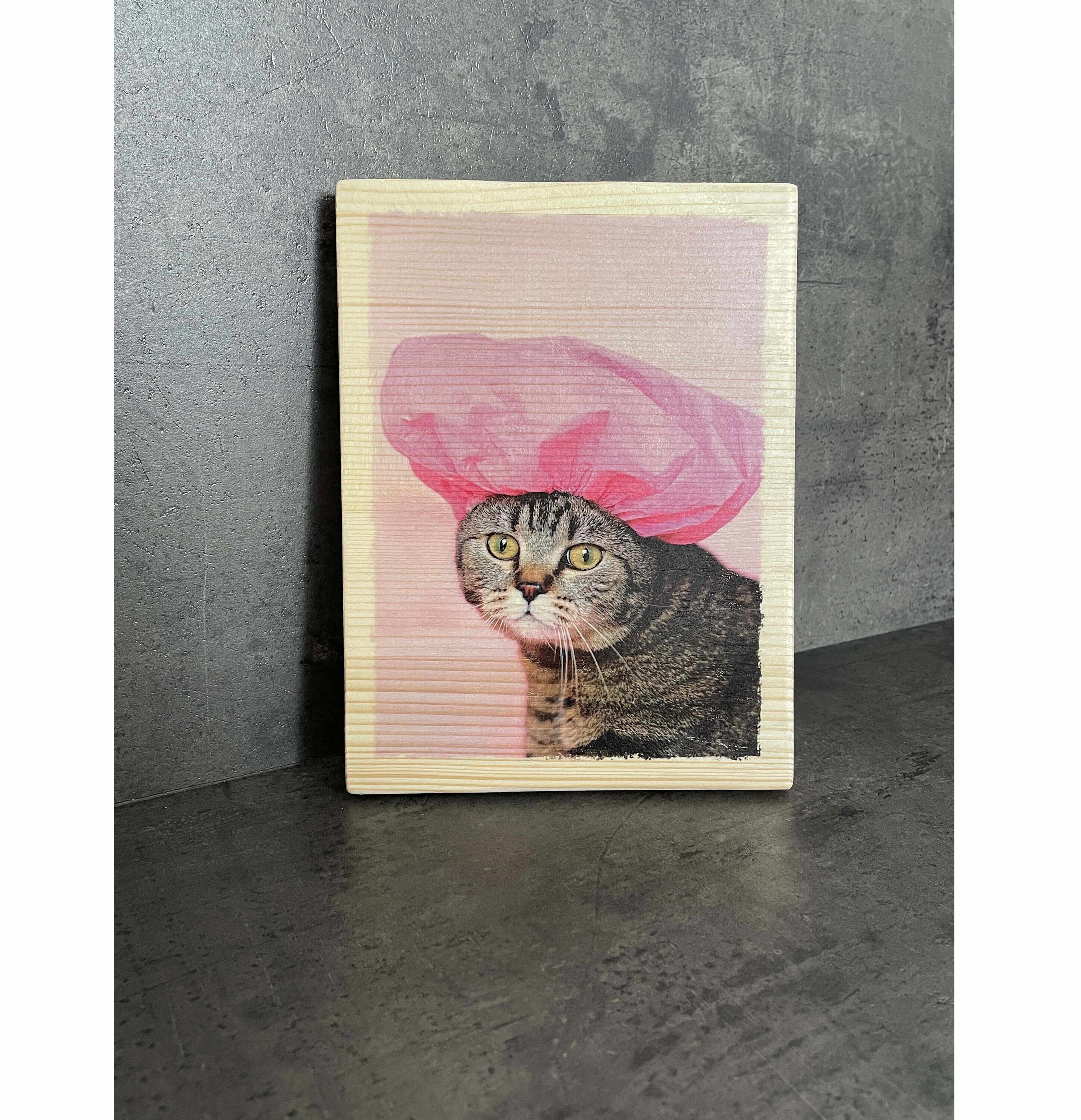 Photo sur Bois Déco - Chat et Sa Charlotte Idée Cadeau Cadeau Déco