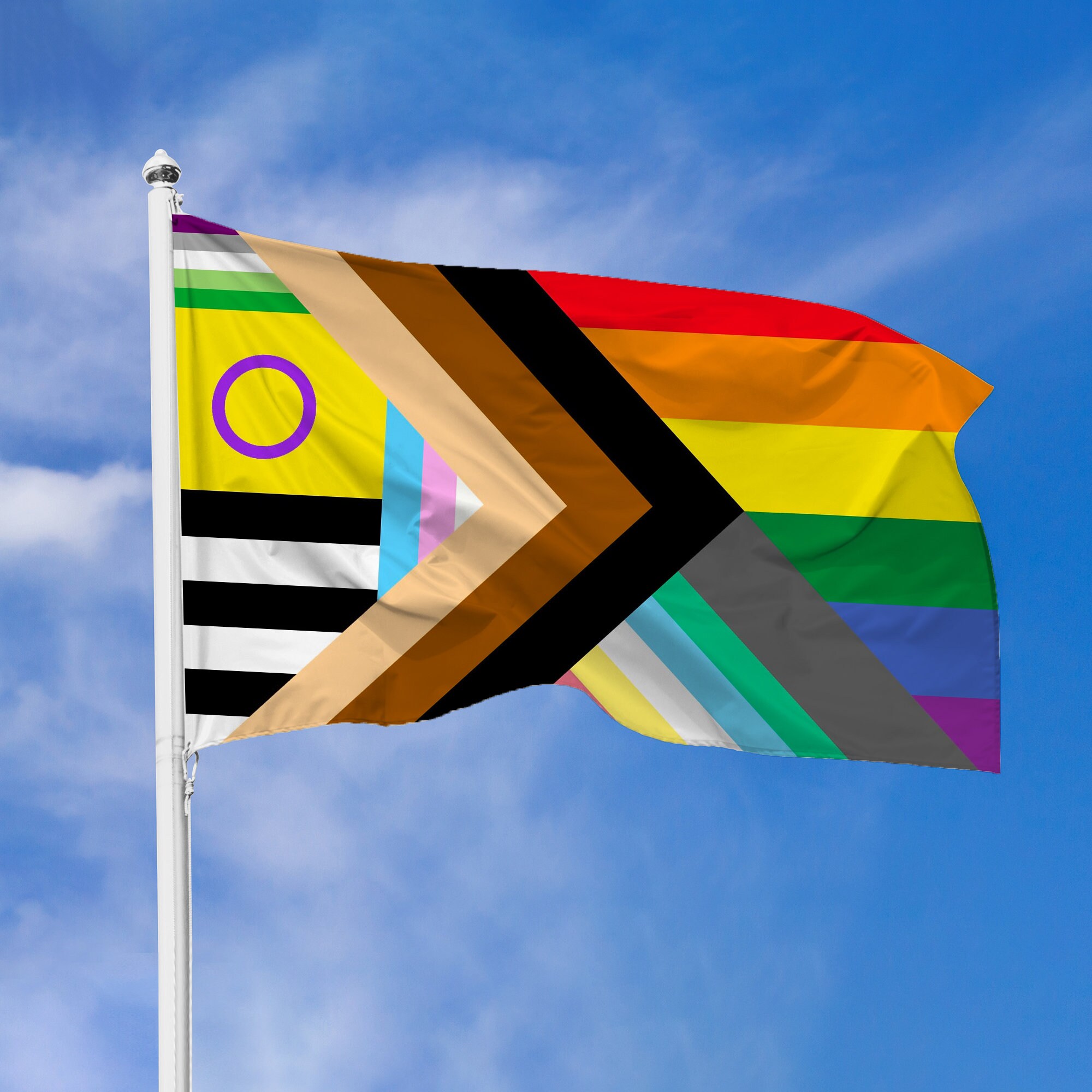 Progress Pride Rainbow Flag Pride Flags All Inlcusive Etsy