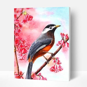 Paint by Number Kit for Adults Birds on a Cherry Tree, Paint by Numbers  Adult 43 