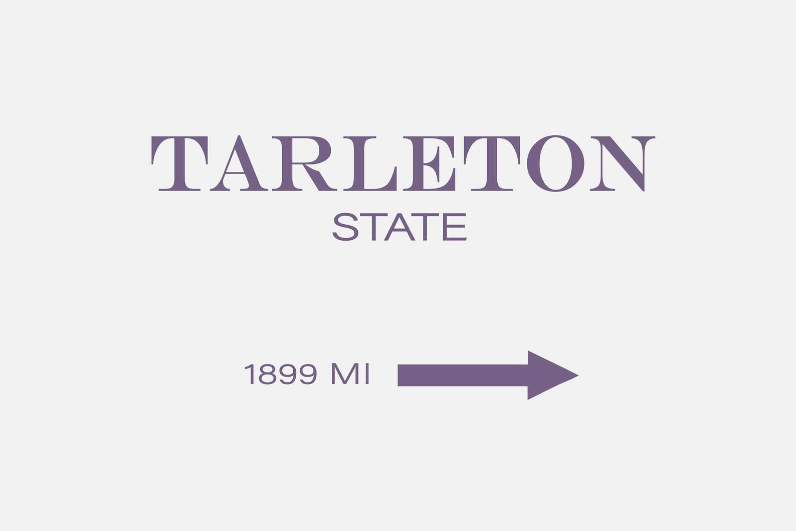 Tarleton State University Etsy
