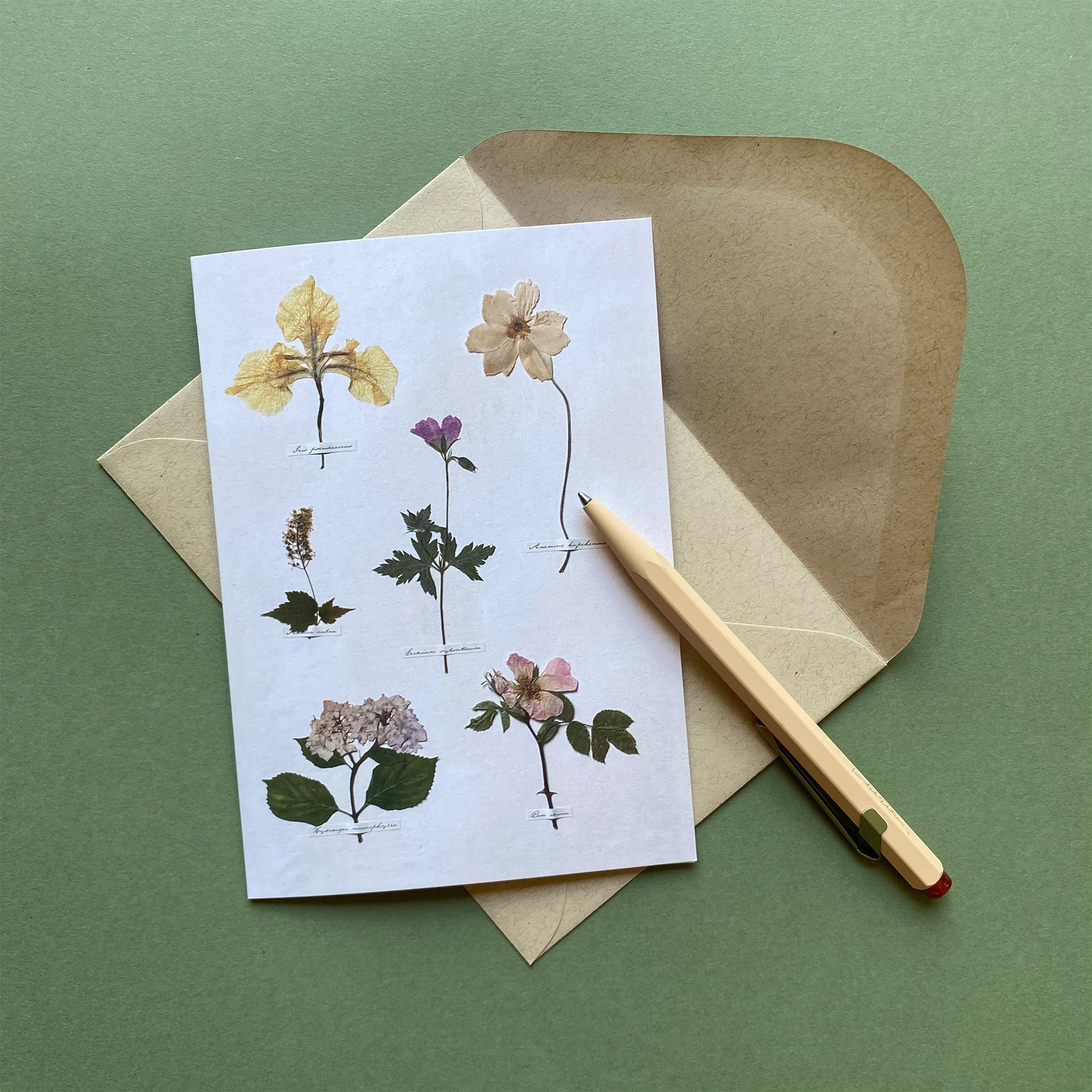 Greeting Card Floral Art Cards Blank Inside Etsy