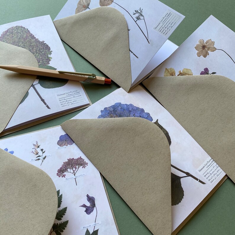 5 X Greetings Card Floral Art Cards Blank Inside Multipack Pressed