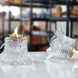May include: Two clear glass pendant light shades with a textured, leaf-like pattern. Each shade has a gold-colored metal cap and a white cord. The shades are designed to hang from the ceiling and provide ambient lighting.