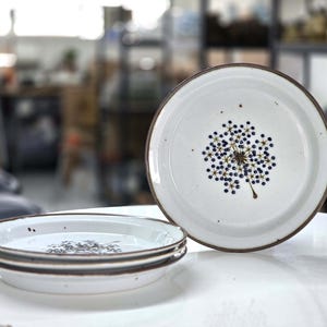 May include: A set of four white ceramic plates with a brown rim. The plates feature a blue and brown floral design.