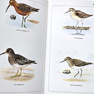 Libro vintage danese degli anni '80 su uccelli, illustrazioni di animali, disegni naturalistici, fauna selvatica Danimarca, artigianato, decoupage, fai da te, escursionismo