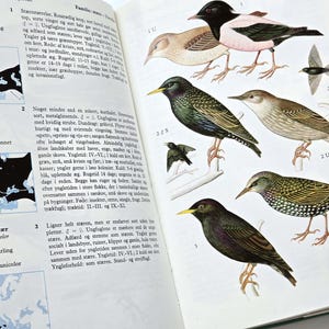 Libro d'epoca danese sugli uccelli, illustrazioni di animali, disegni naturalistici degli anni '80, dizionario sulla fauna selvatica, Lademanns Naturfører, fai da te, artigianato, decoupage