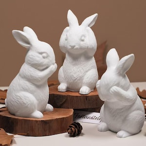 Rabbit Silicone Mold-Cover Mouth/Ears/Eyes Rabbit Resin Mold-Easter Bunny Candle Mold-Rabbit Ornaments Plaster/Concrete/Scented Casting Mold