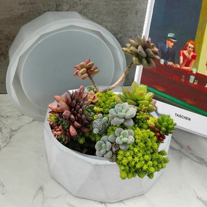 Large Diamond Concrete Flower Pot Mold Silicone 12 Sides Candle Vessel Mold Jesmonite Plaster Mold Creative Bonsai Mold epoxy resin