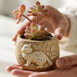 Può includere: Un piccolo vaso rotondo in ceramica beige con un design a gatto e farfalla, che contiene una pianta succulenta con foglie verdi e rosse. Il vaso è tenuto in due mani, mostrando i dettagli del design in rilievo.