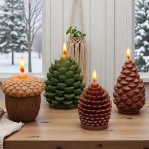 May include: Four decorative candles shaped like an acorn and pine cones, with lit flames. The candles are brown, green, and orange, and sit on a wooden surface. A macrame plant holder hangs in the background, with a snowy outdoor scene visible through a window.