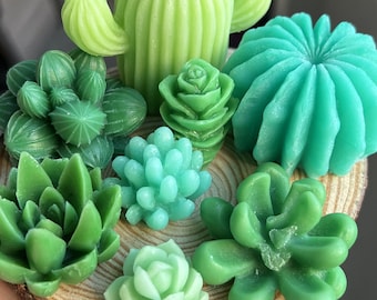 12 styles de moule en silicone succulente,moule de fabrication de bougies succulentes,moule de succulentes en résine époxy,moule de plâtre pour béton succulentMoule à savon succulente