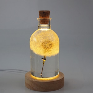 Puede incluir: Lámpara decorativa con una cabeza de semilla de diente de león dentro de una botella de vidrio transparente con un corcho. La botella se encuentra sobre una base de madera con una luz cálida y brillante.