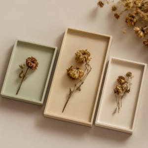 May include: Three rectangular trays in pastel shades of sage green, beige, and off-white. Each tray contains a dried flower arrangement. The flowers are in shades of brown and tan, creating a natural, earthy aesthetic.