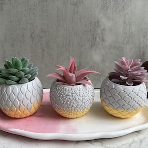 Round planter Silicone Mold scale Concrete plaster candle holder resin mold cement tealight holder Round Mold succulent pot mould