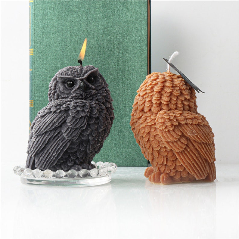 May include: Two owl-shaped candles. One is dark gray and lit, sitting on a clear glass dish. The other is brown with a tag attached. Both candles have detailed feather textures and are set against a green book.