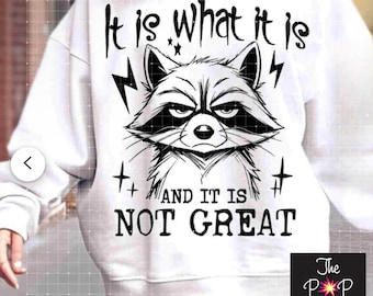 Wildes Sommer Waschbär-Shirt Nicht großes Shirt nicht tut großes Hemd sarkastischer Freund Geschenk-Sarkasmus lustiges Hemd