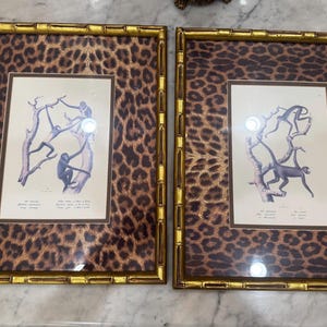 Op de afbeelding: Twee ingelijste prenten met illustraties van apen in bomen. De gouden lijsten hebben een bamboe-ontwerp en zijn omgeven door een luipaardprint. De prenten worden gepresenteerd op een marmeren oppervlak.