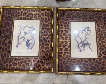 Framed Monkey Prints Vinatge Animal prints witj gold bamboo frames and leopard mats set of 2 monkey prints