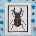 see more listings in the Bug Prints section