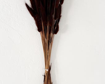 Chocolate Brown Bunny Tail Lagurus/ Dried Flowers/ Dried Grass