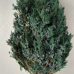 May include: A fresh, green juniper wreath with small, dark blue berries. The wreath is tied together with twine and a green rubber band. The evergreen branches have a dense, textured appearance, creating a natural, rustic aesthetic. Ideal for seasonal decor.