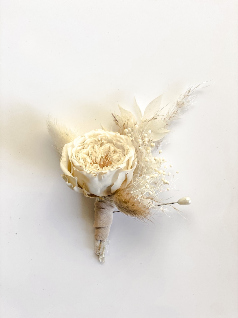 Preserved Small Garden Rose Pampas Grass Boutonniere Etsy