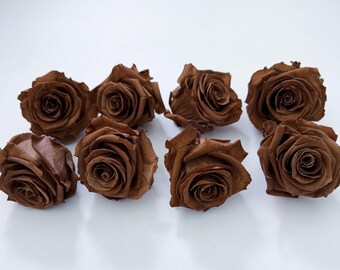 8 Preserved Mocha Brown Rose Heads, Everlasting roses, Dried Flowers, Wedding flowers
