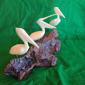 John Perry Pelican Sculpture on Burl Wood with Three White Pelicans