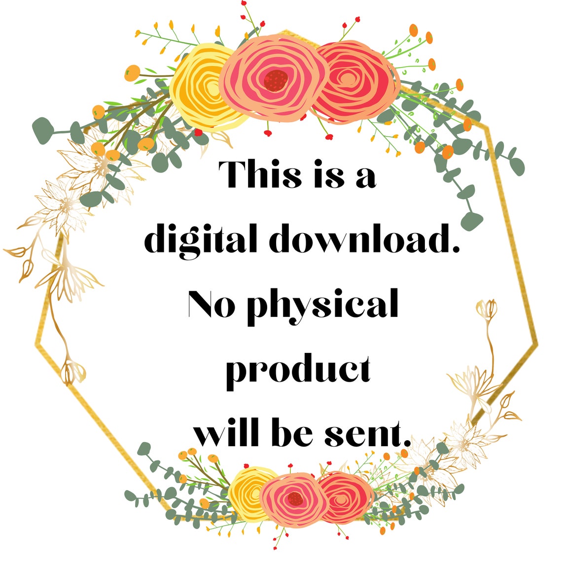 Baby Girlariahname Meaningname Maningsbaby Artmemory Bookname