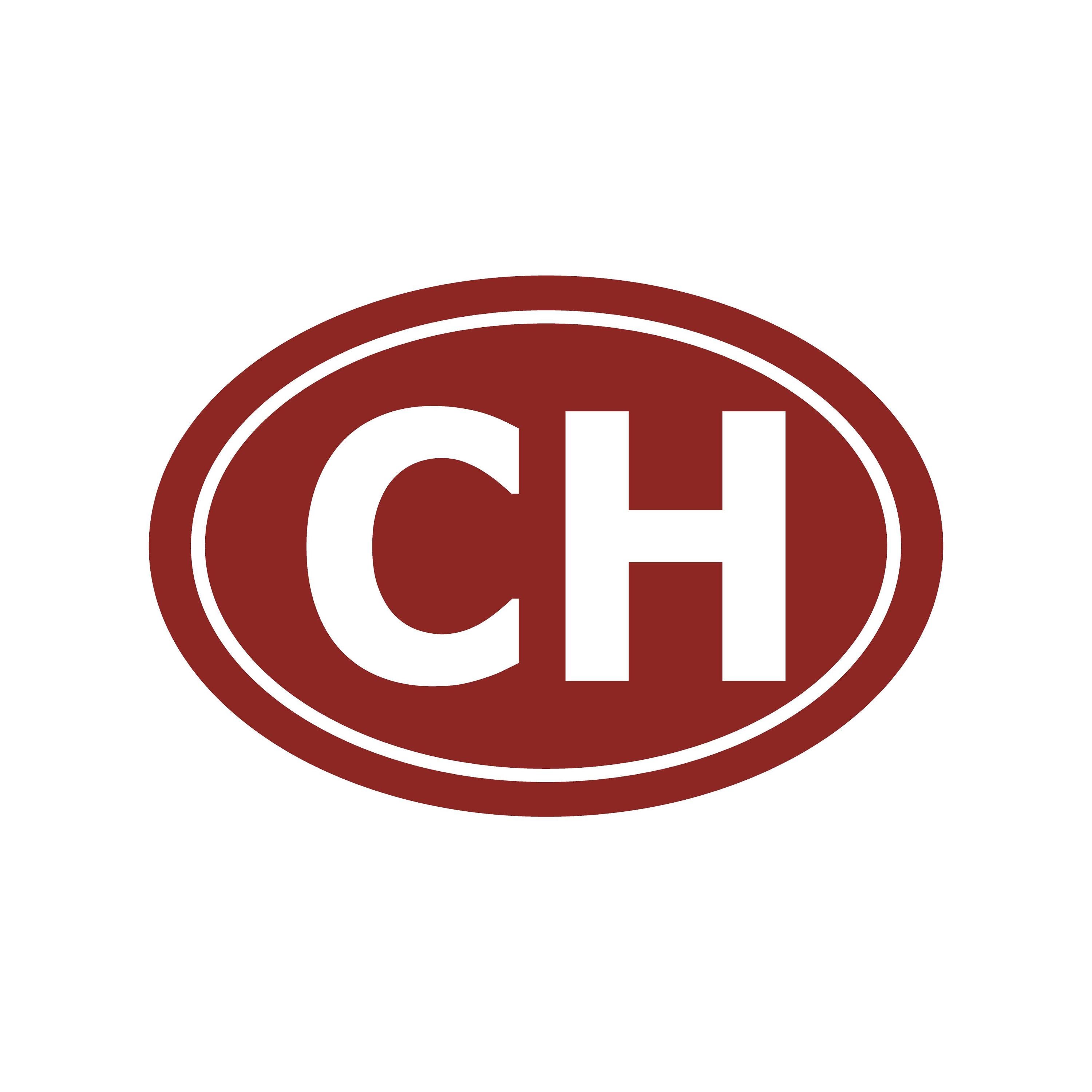 スイス CH 国名イニシャル デカール ウィンドウ オーバル CH 