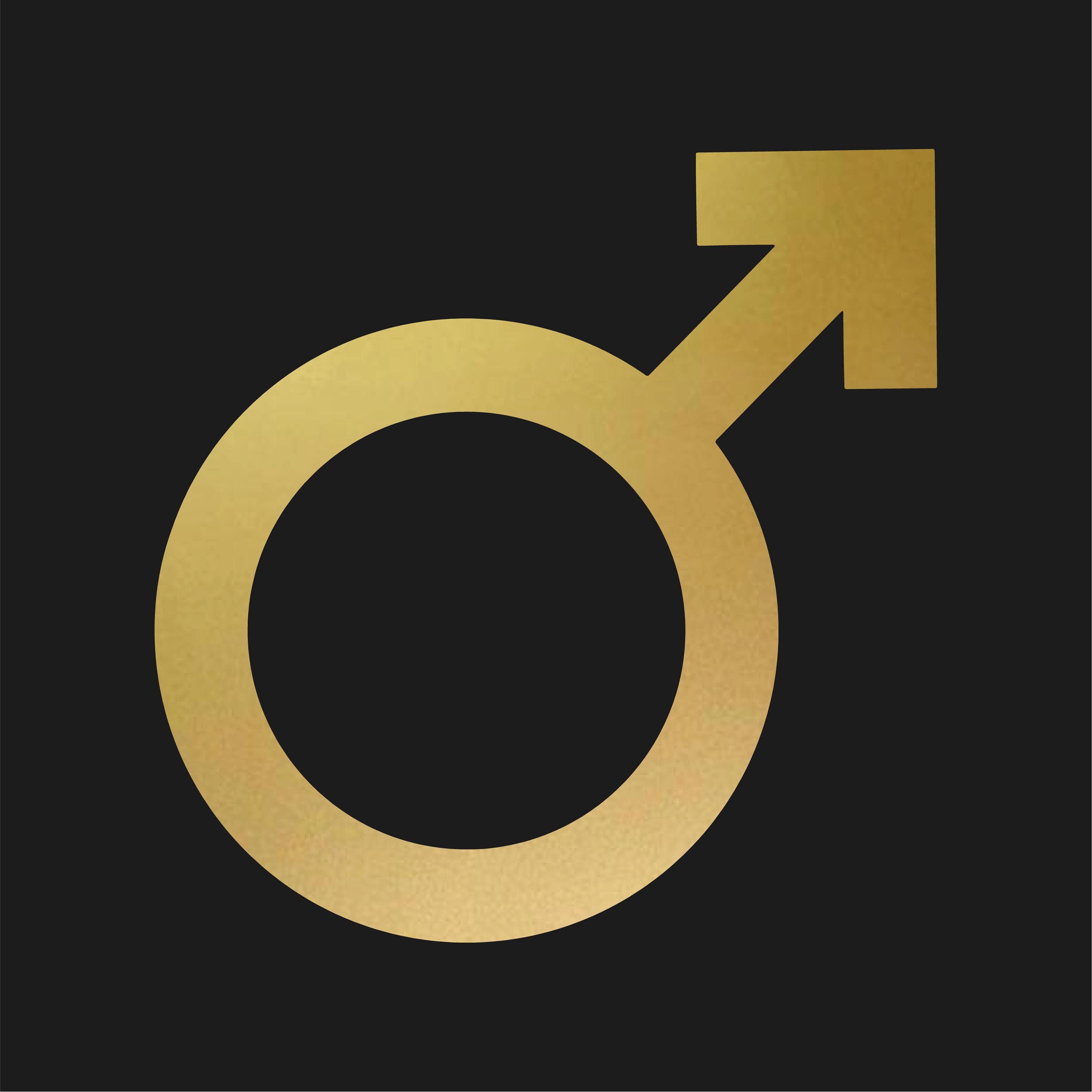 Male Symbol Sticker Vinyl Decal Masculine Gender - Etsy