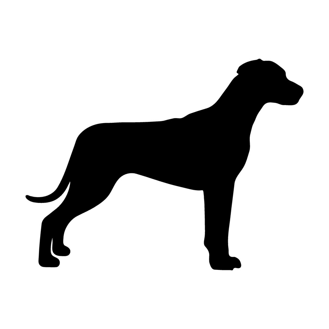 DOGS UP IN THIS BITCH Vinyl Sticker - Puppy Dog - Die Cut Decal - Die Cut Decal - Minglewood Trading