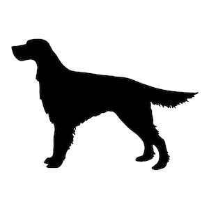 Pode incluir: Silhueta preta de um cão, provavelmente um Setter irlandês, em perfil sobre fundo branco. O pelo do cão é detalhado e a cauda ligeiramente levantada. Imagem simples e elegante.