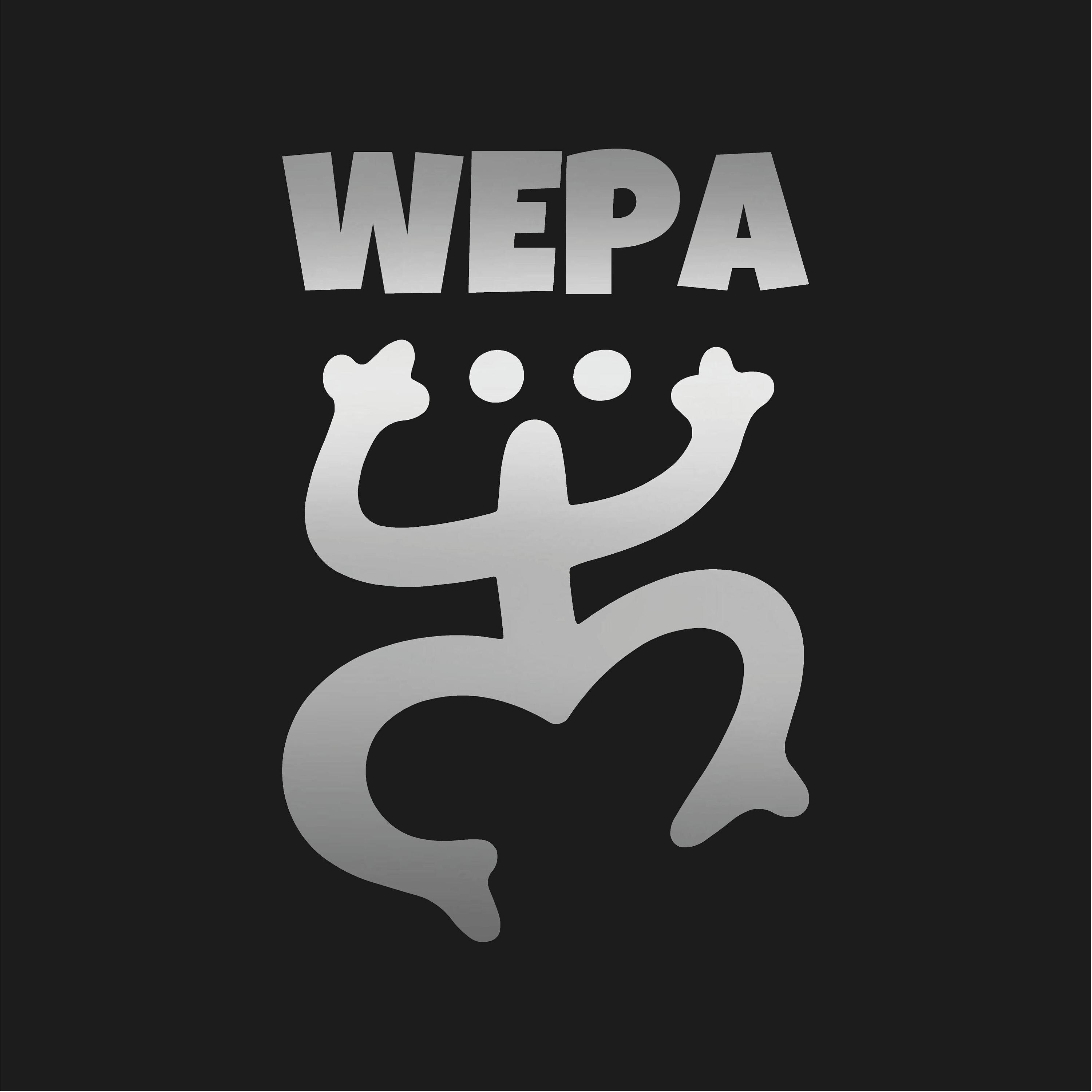 WEPA Coqui Frog Puerto Rico Vinyl Decal Sticker Taino Style Car Window ...