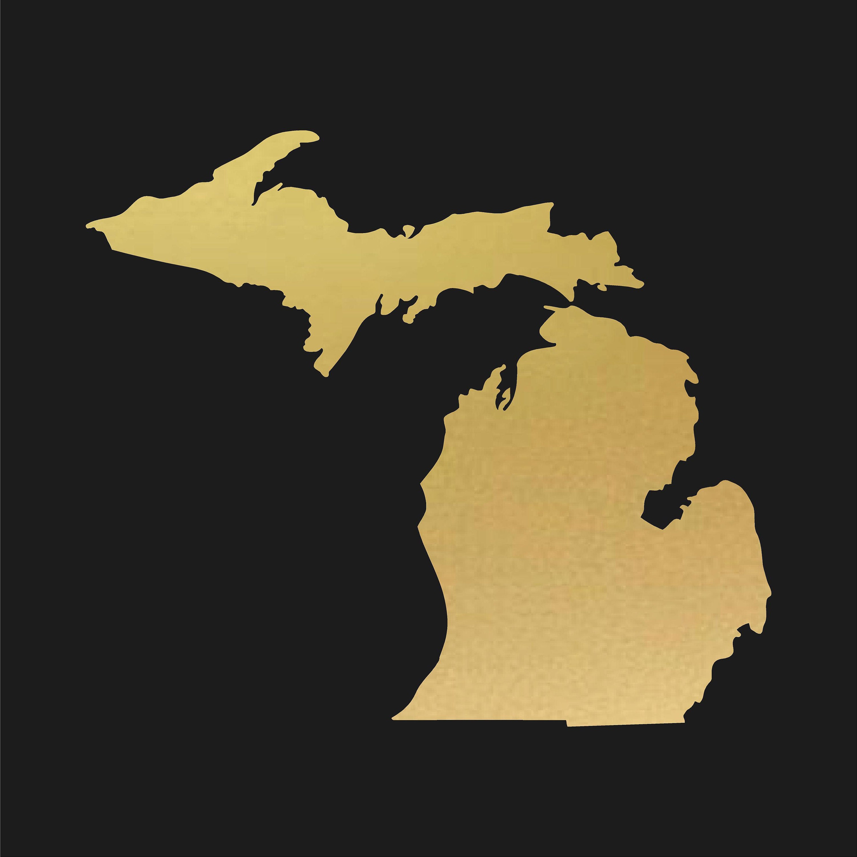 Car Decal Michigan Michigan MI State Outline Vinyl Decal Sticker - Perfect For Car, Laptop, Or Travel Gear State Of Michigan Decal - Foto 10