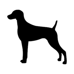 Op de afbeelding: Zwart silhouet van een hond die staat, naar links gericht. De hond heeft een gladde omtrek en een opstaande staart. De afbeelding is een eenvoudige grafische weergave, geschikt voor logo's of designelementen.