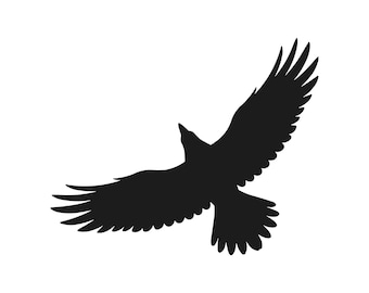 Raven Flying Directly above Wildlife Bird Vinyl Decal Window Wild birds life Laptop Sticker