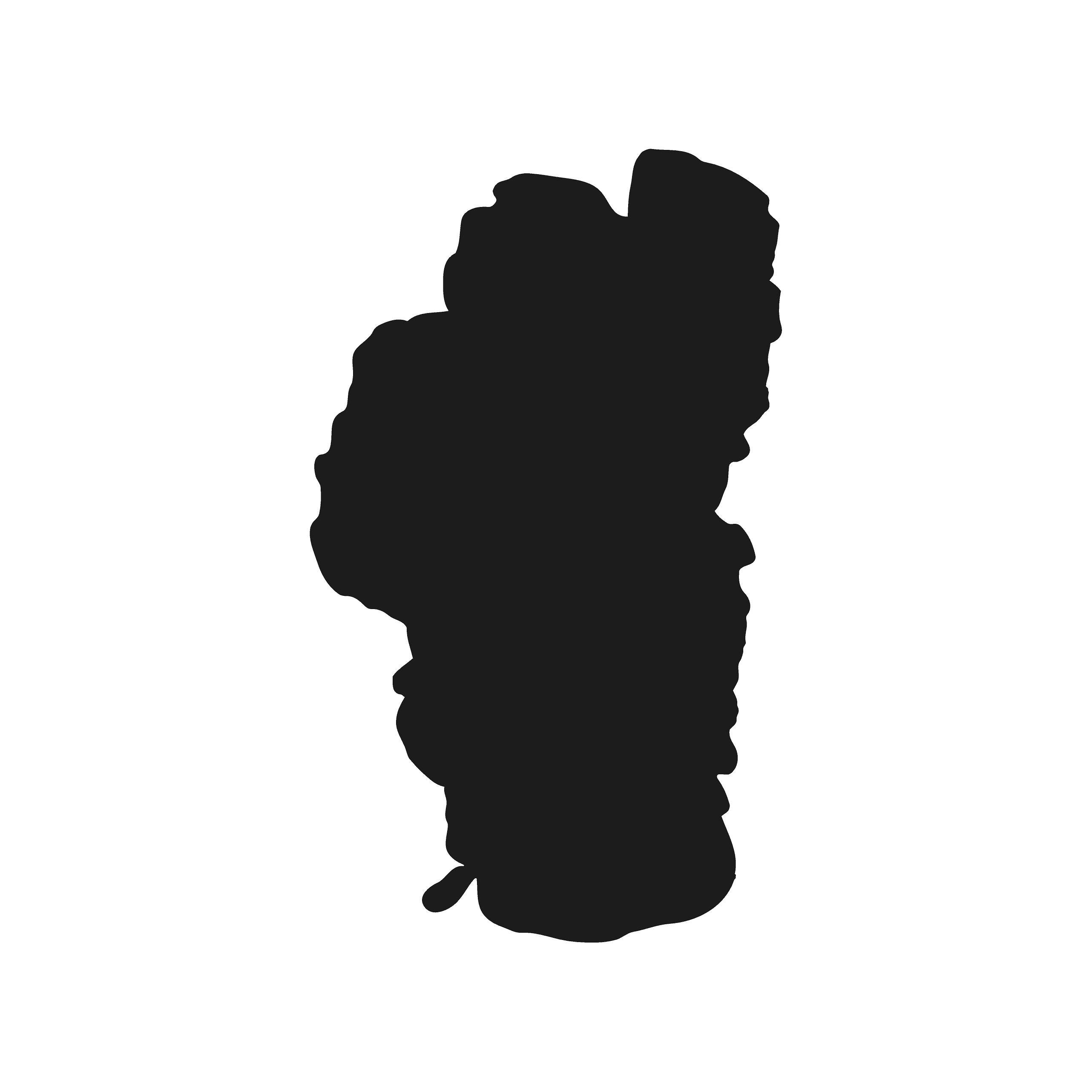 CELYCASY Lake Tahoe Adesivi, Decalcomania Del Lago Tahoe - Foto 10