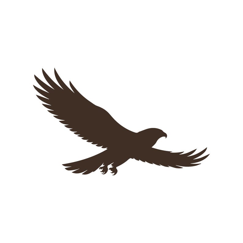 Hawk Flying Wildlife Bird Vinyl Decal Window Wild Birds Life Laptop ...