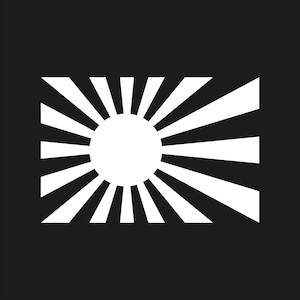 Op de afbeelding: Een wit sunburst-ontwerp op een zwarte achtergrond. De zon is een witte cirkel met witte stralen die naar buiten uitstralen. Het ontwerp is een vereenvoudigde, grafische weergave van de zon.