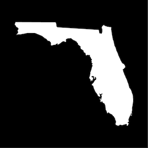 Adesivo decalcomania in vinile con contorno dello stato della Florida