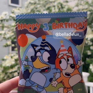 Custom Bluey Birthday Chip Bag | Personalized Party Favor Snack Bags.
