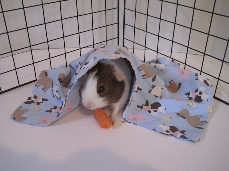 Guinea Pig Blanket Etsy