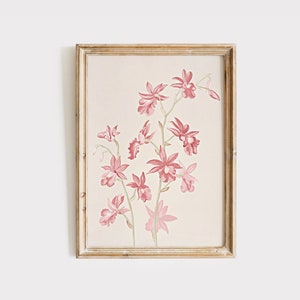 Pink Floral Sketch Art: Vintage Botanical Print Digital Download