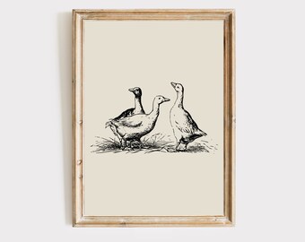 Three Geese Nursery Print: Farmhouse Animal Illustration Digital Download