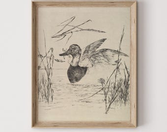 Vintage Enten Zeichnung: Bauernhaus Tier Kunstdruck Digitaler Download