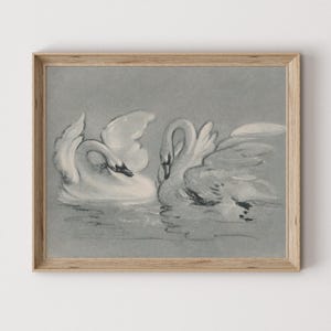 Vintage Swan Drawing: Antique Nursery Art Print Digital Download