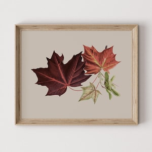 Vintage Autumn Leaves Art Print: Warm Fall Colors Digital Download