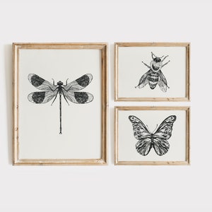 Vintage Insect Sketch Art Prints: Butterfly, Dragonfly, Bee Digital Download