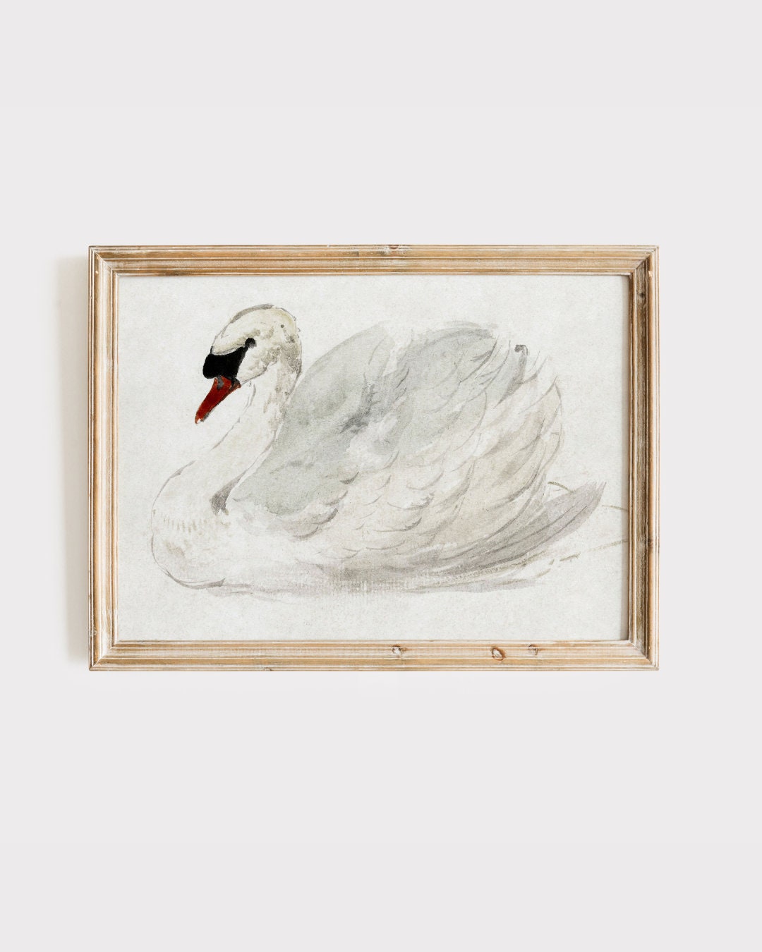 Vintage Swan Wall Decor Antique Swan Watercolor Print Vintage Painting Swan Vintage Nursery Art